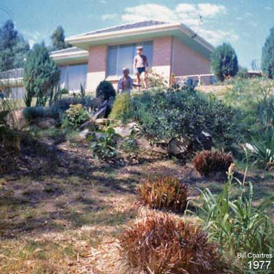 Our Cudlee Creek garden