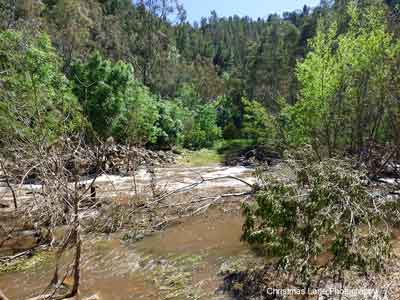 The River Torrens below the Sixth Creek junction,  Gorge Rd., Castambul, SA.