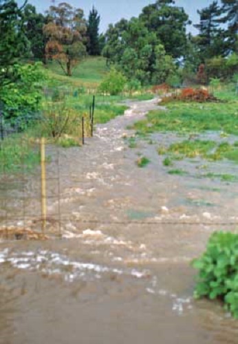 Flooding at Lobethal