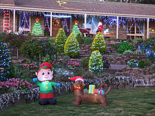 Elf and dachshund display