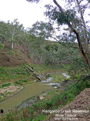 KangarooCreek Reservoir