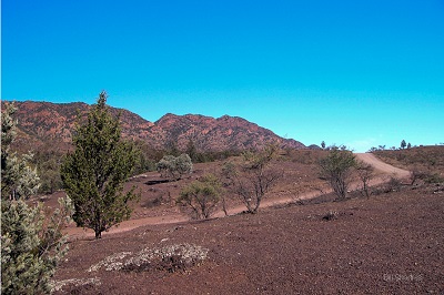 Chase Range viewed from Pugilist Hill Lookout 2005