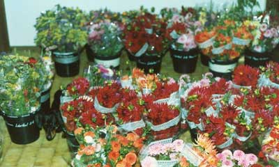 Flowers ready for market