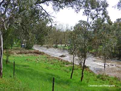 The River Torrens, Banks Road, Cudlee 
Creek, SA