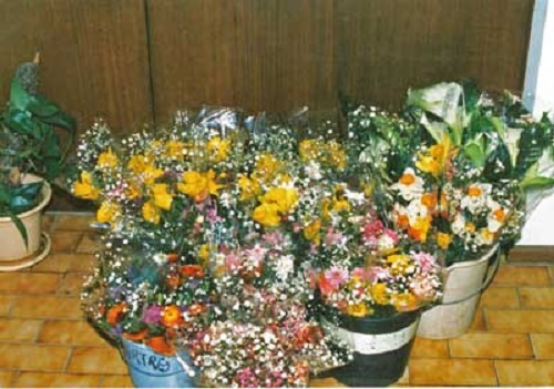Photo - Flowers ready for market