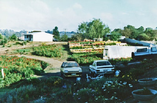 Photo - General view of the garden